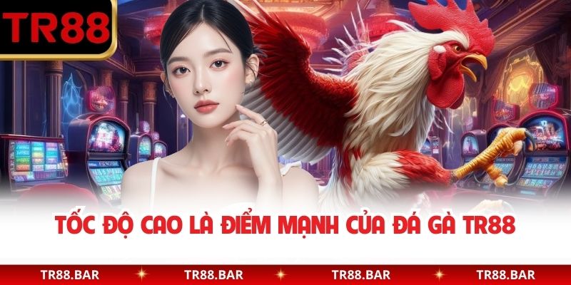 Tốc độ cao là điểm mạnh của Đá Gà TR88